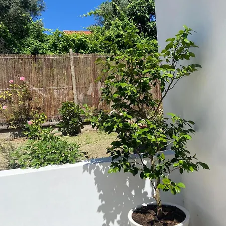 Casas Peralta - Outeiro 公寓 阿鲁卡