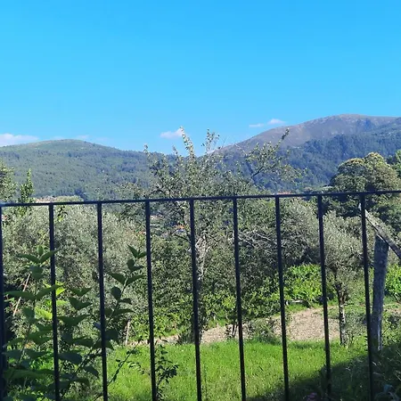 Casas Peralta - Outeiro Arouca