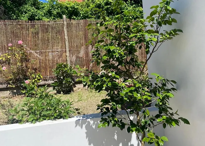 Casas Peralta - Outeiro 아파트 아로카